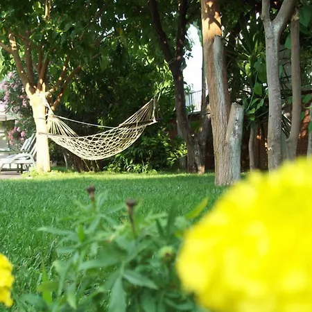 바닐라 3* 페티예