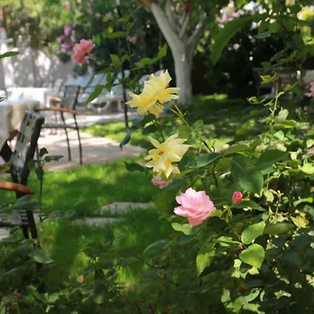 Vanilla Hotel Fethiye