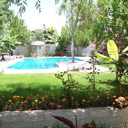 Hotel Vanilla 3*