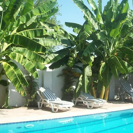 바닐라 호텔 페티예